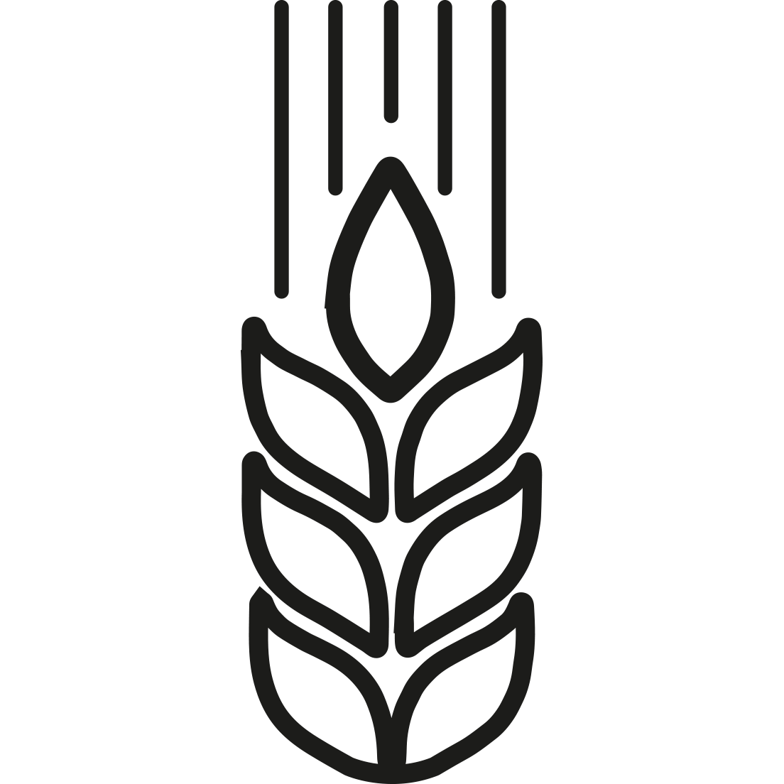 volumizing-shampoo-subtil