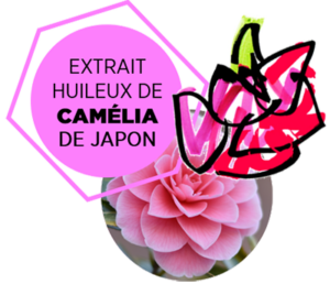 SUBTIL-ACTIF-EXTRAIT-HUILEUX-DE-CAMELIA-DU-JAPON-01